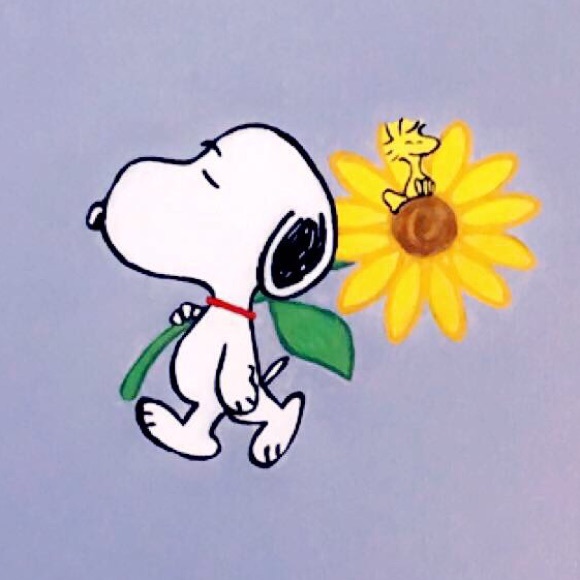 Meet your Posher, Ziya - Picture 1 of 1